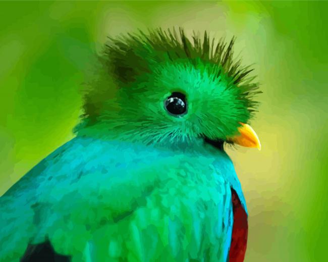 Resplendent Quetzal Head paint by numbers