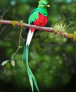 Quetzal Bird On A Branch paint by numbers