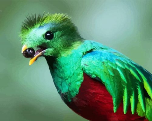 Quetzal Bird Eating paint by numbers