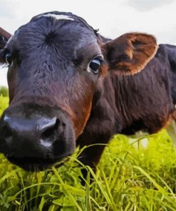 Real Cows Close Up Face paint by numbers