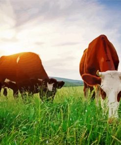 Real Cows Eating Grass paint by numbers