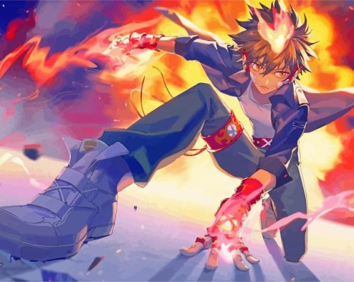 Japanese Tsunayoshi Sawada paint by numbers