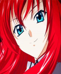 Rias Gremory Character paint by numbers