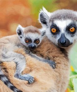 Ring Tailed Lemur paint by numbers