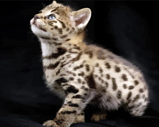 Savannah Kitten paint by numbers