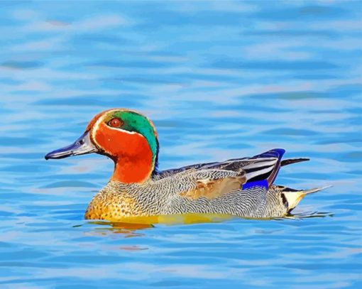 Teal Duck In Water paint by numbers