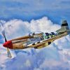 The P52 Mustang Plane paint by numbers