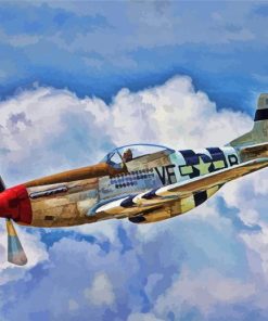 The P52 Mustang Plane paint by numbers