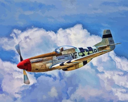 The P52 Mustang Plane paint by numbers