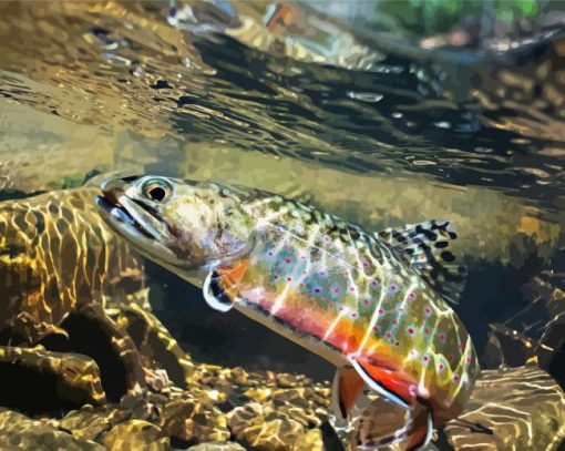 Trout Stream Water paint by numbers