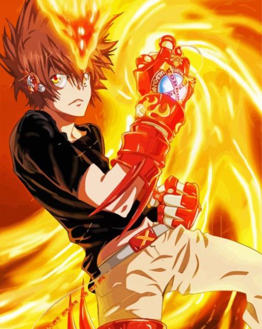 Tsunayoshi Sawada Character paint by numbers