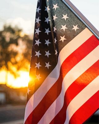 USA Flag At Sunset paint by numbers