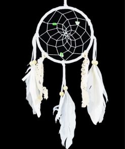 White Dreamcatchers paint by numberss