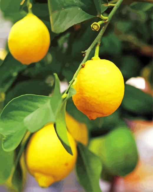 Aesthetic Yellow Lemon Tree paint by numbers
