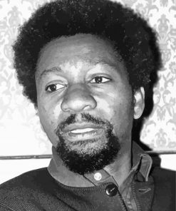 Young Wole Soyinka paint by numbers