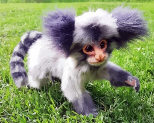 Aesthetic Marmoset Animal paint by numbers