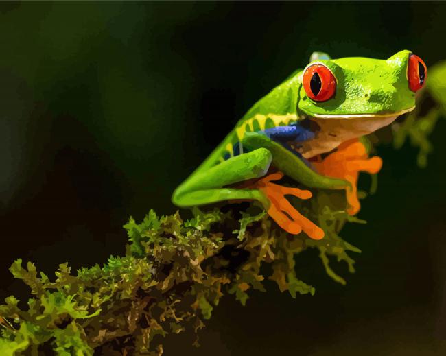 Cute Kikker Animal paint by numbers