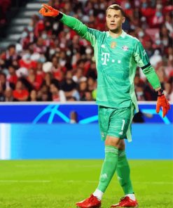 Aesthetic Player Manuel Neuer paint by numbers