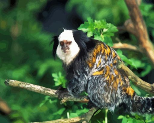 Marmoset Animal On Tree paint by numbers