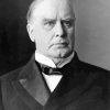 William McKinley President paint by numbers