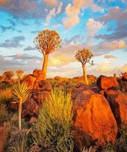 Quiver Trees At Sunset paint by numbers