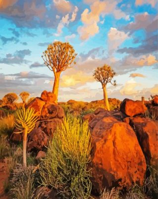Quiver Trees At Sunset paint by numbers