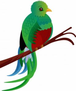 Aesthetic Quetzal Bird Art paint by numbers