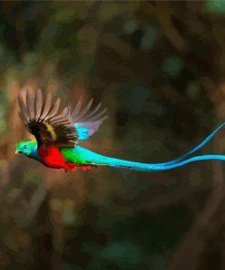 Quetzal With Long Blue Tailed paint by numbers