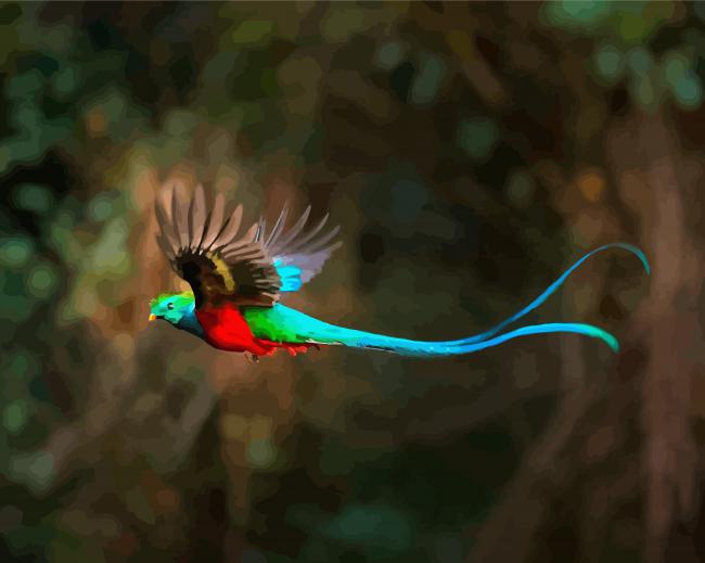 Quetzal With Long Blue Tailed paint by numbers