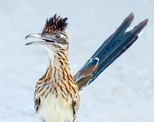 Blue Tailed Greater Roadrunner paint by numbers