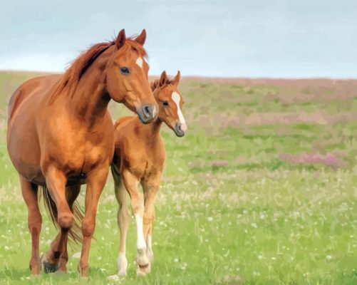 Brown Mares Horses paint by numbers