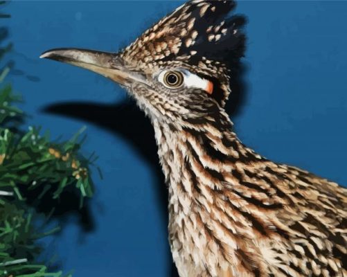 Greater Roadrunner Bird Head paint by numbers