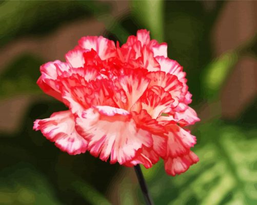 Pink Carnations paint by numbers