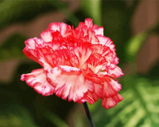 Pink Carnations paint by numbers