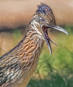 Close Up Roadrunner Bird paint by numbers