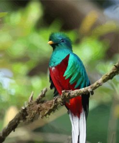 Quetzal Bird On A Stick paint by numbers