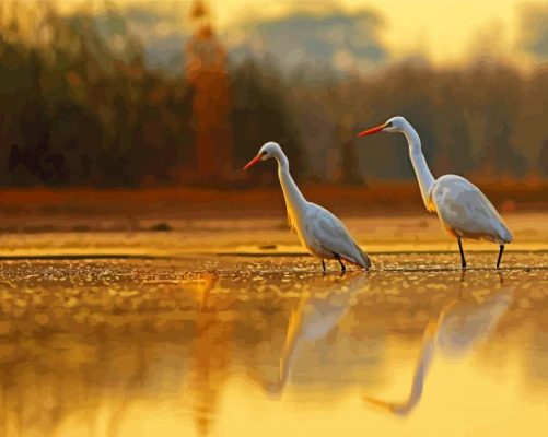 Cute Egrets Birds paint by numbers