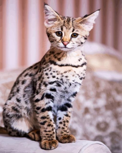 Adorable Savannah Kitten paint by numbers