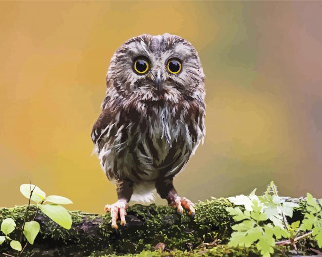 Aesthetic Cute Owl Bird paint by numbers