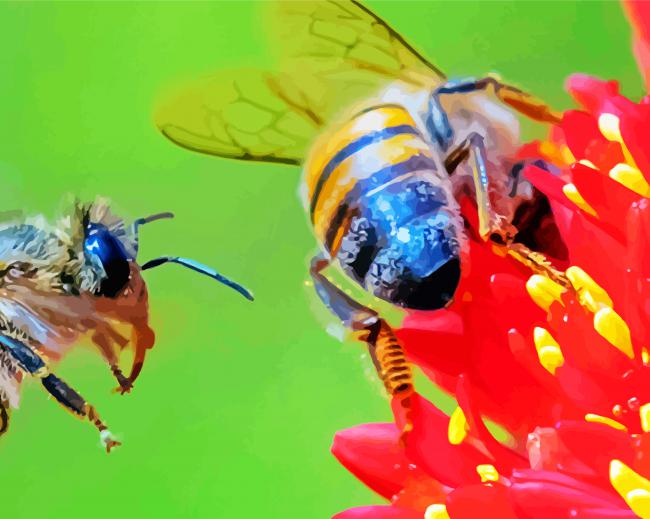 Flowers With Bees paint by numbers