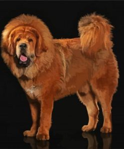 Brown Fluffy Mastiff paint by numbers