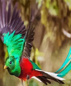 Flying Quetzal Long Tailed paint by numbers