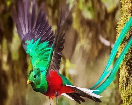 Flying Quetzal Long Tailed paint by numbers