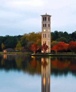 Aesthetic Furman University paint by numbers