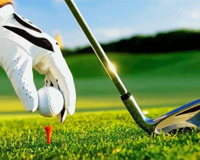 Golf Sport Player paint by numbers