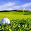 Golf Scene Sport paint by numbers
