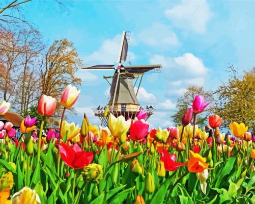 Keukenhof Garden paint by numbers