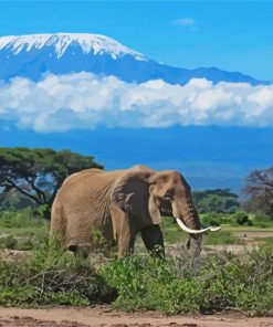 Elephant In Mount Kilimanjaro paint by numbers