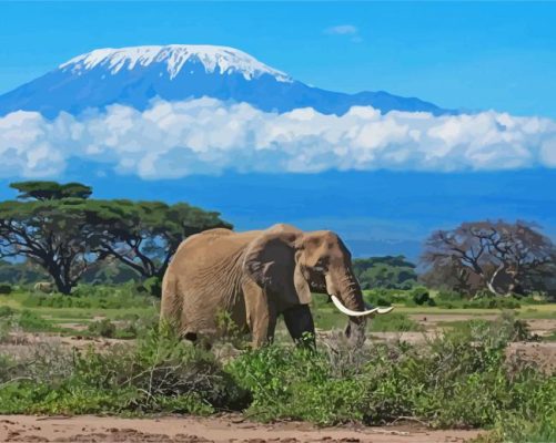 Elephant In Mount Kilimanjaro paint by numbers