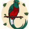 Resplendent Quetzal Art paint by numbers